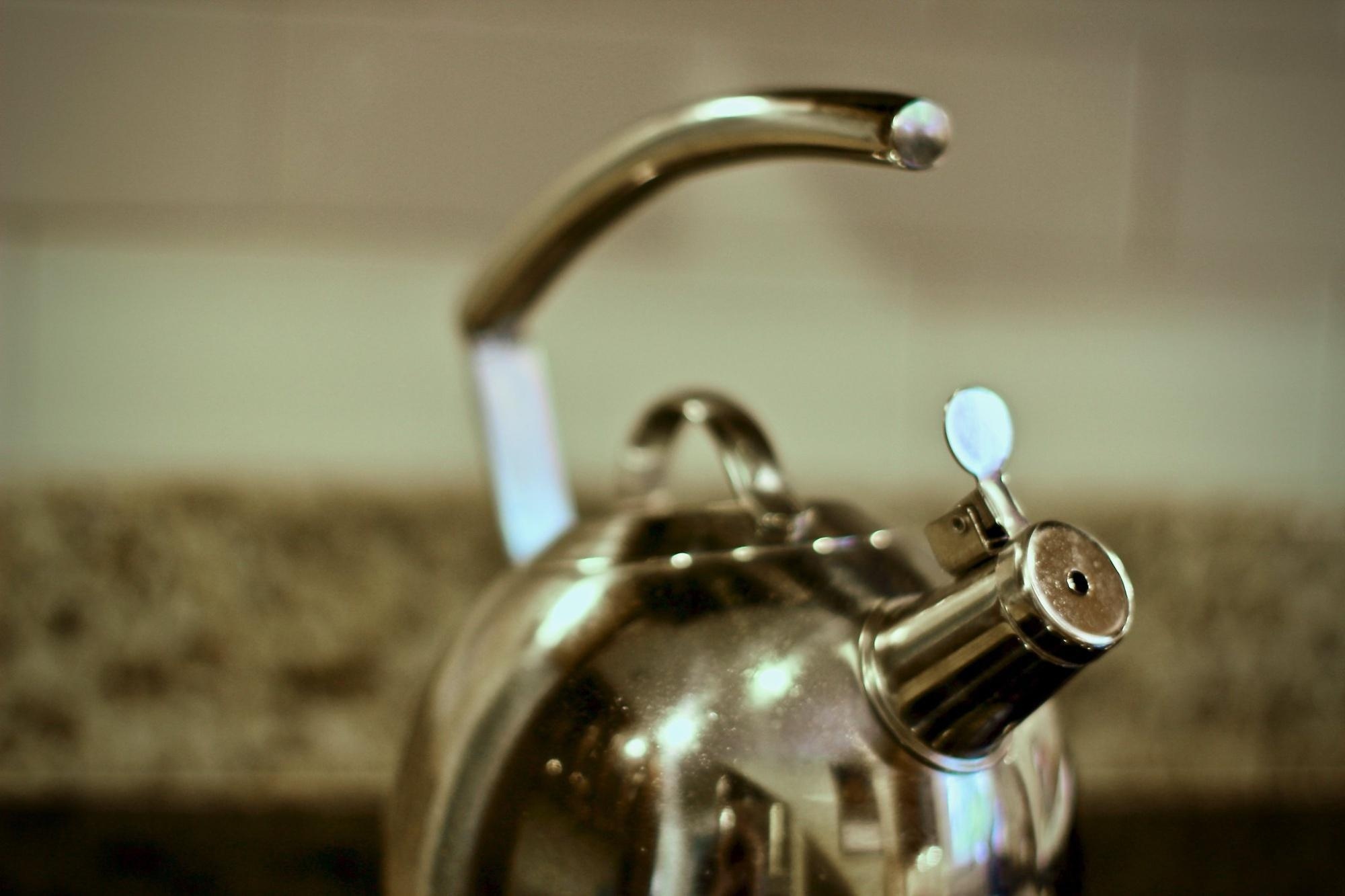 A metal kettle with its raised handle clearly visible.
